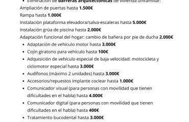 Ayudas discapacidad 2025