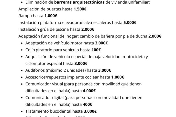 Ayudas discapacidad 2025