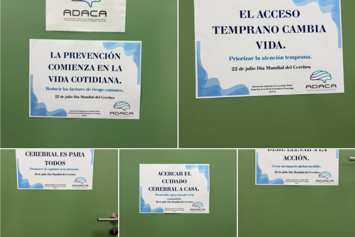 Carteles día mundial del Cerebro 2026
