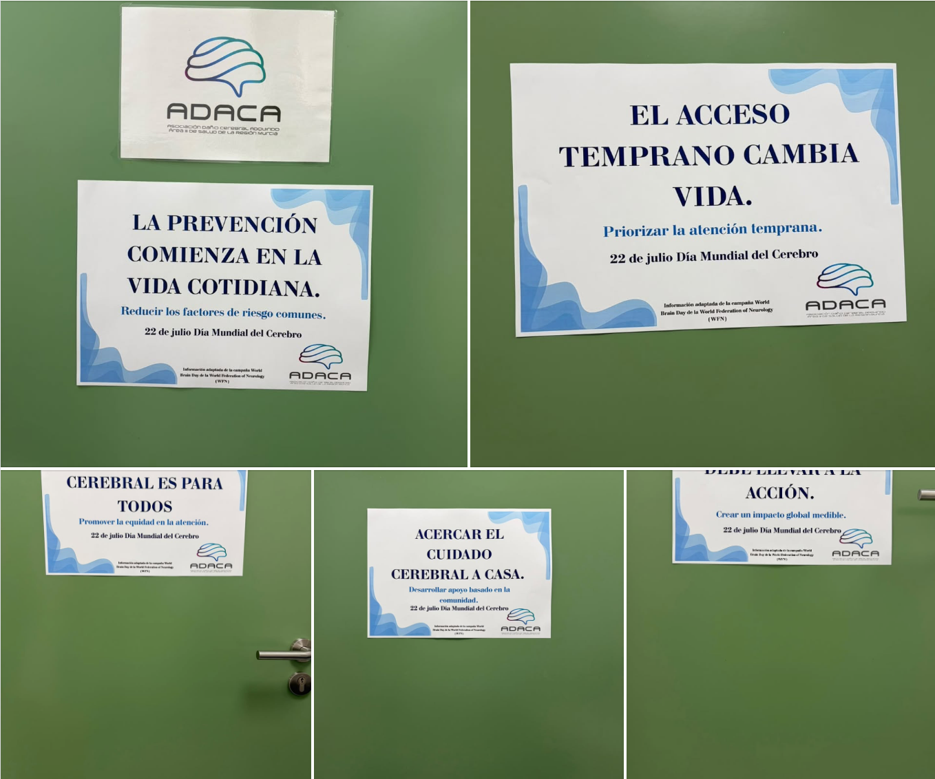Carteles día mundial del Cerebro 2026