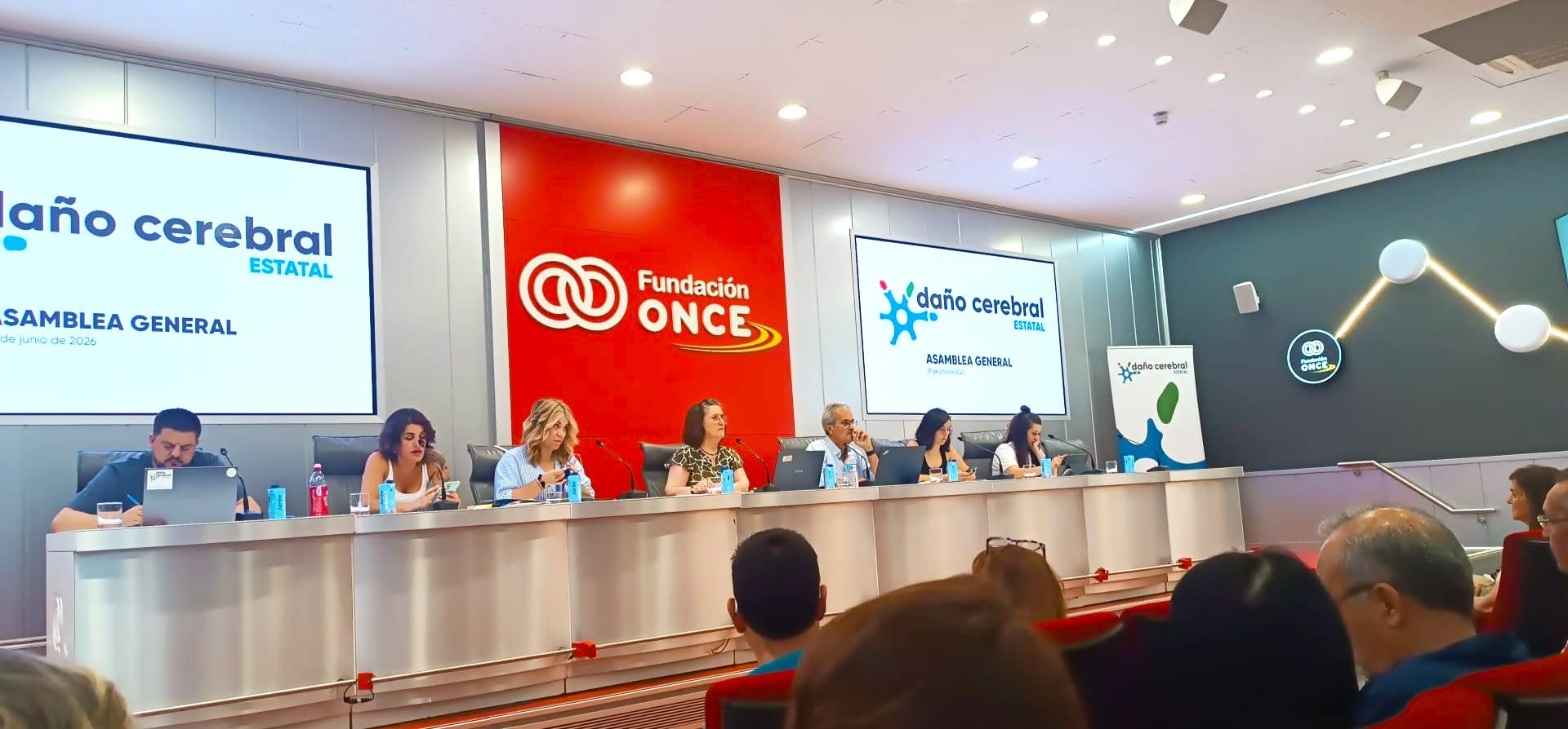 asamblea 2026 daño cerebral estatal.jpg