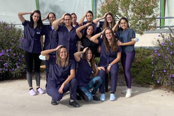 Día Nacional Daño Cerebral Adquirido 2022